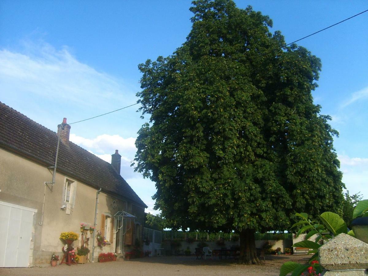 Armalou Bed & Breakfast Pouilly-sur-Loire Ngoại thất bức ảnh