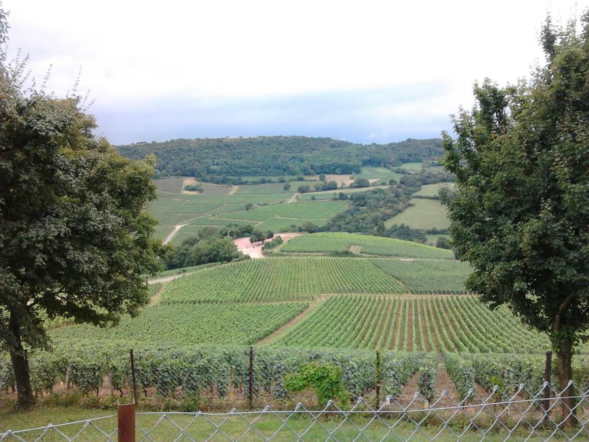 Armalou Bed & Breakfast Pouilly-sur-Loire Ngoại thất bức ảnh
